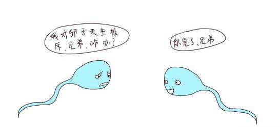 国内代怀最靠谱,三代试管手动循环计划需要多长时间推进？