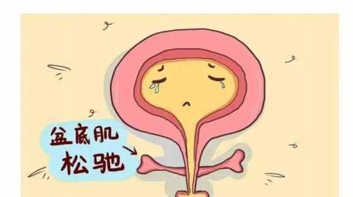 国内供卵的费用多少,高泌乳素血症做日本第三代试管婴儿 老公需要如何配合