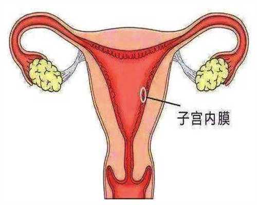 国内哪里提供供卵,台湾供卵费用,供卵试管婴儿一般15几万