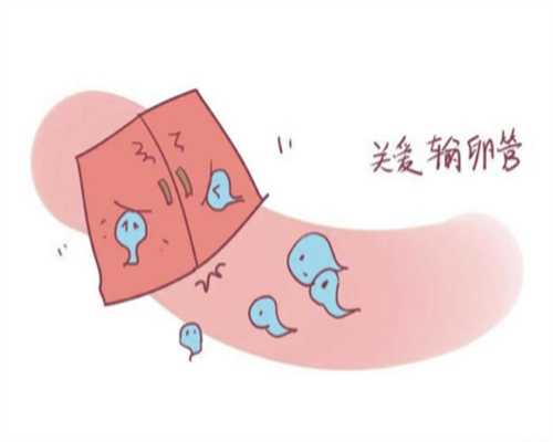 国内代孕价格,上海私立*殖医院试管婴儿费用2025助孕省钱1-3万完整攻略