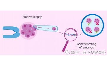 国内可供卵的医院有哪些,生男生女秘方？这些方法我找人试过了，结果是...