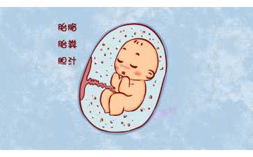 供卵价格-普通胚胎和优质胚胎的宝宝有区别吗？