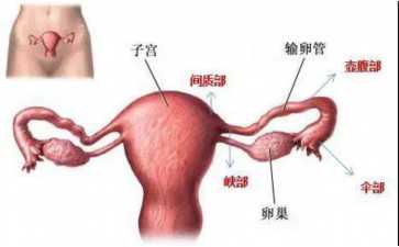国内代生求子,国内私立机构做*试管的费用是多少费用十万够吗